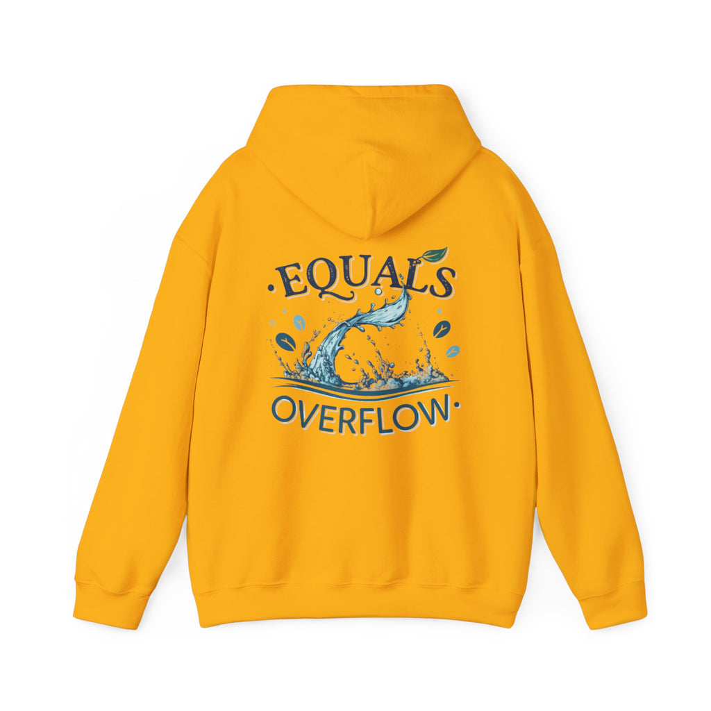 Gods Plan Obedience hoodie | Equals Overflow faith graphic sweatshirt